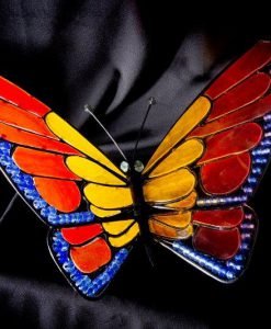 Papillon